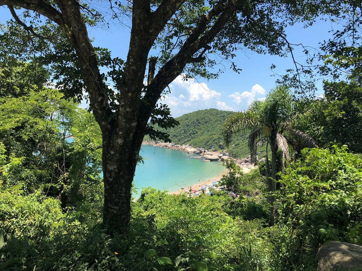 따이냐 해변 (Praia da Tainha)